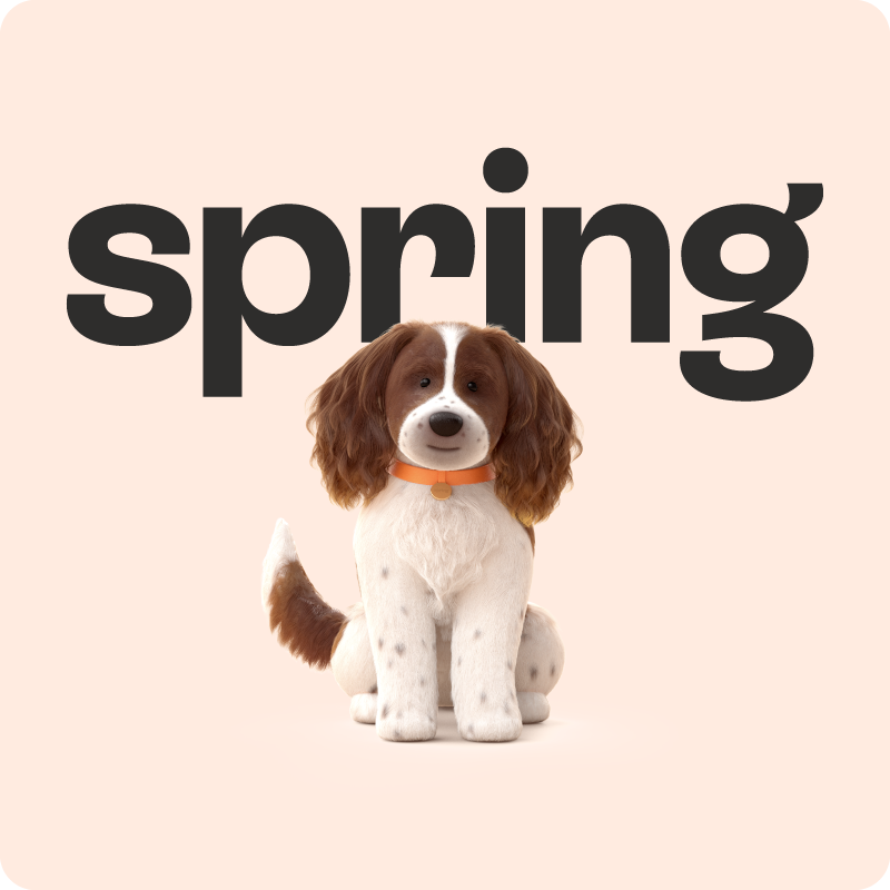 Spring Savings