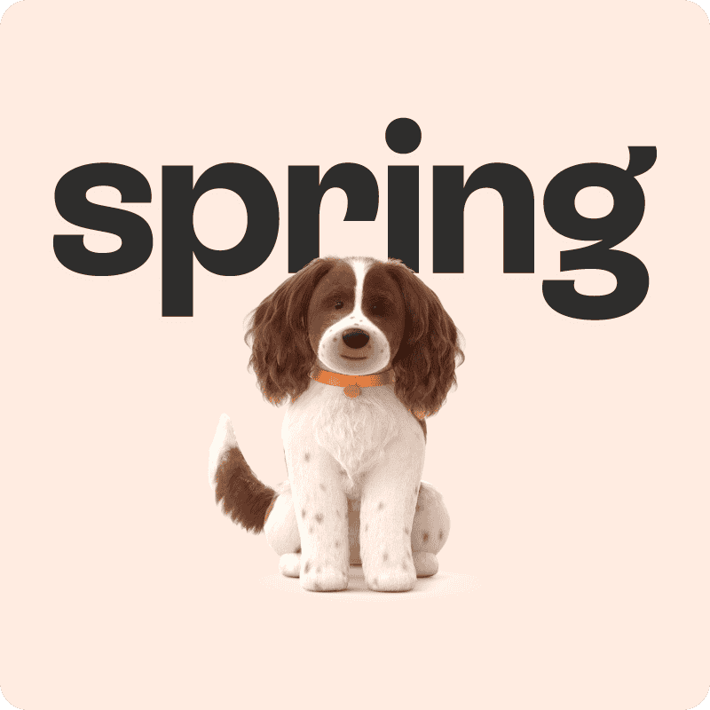 Spring Savings