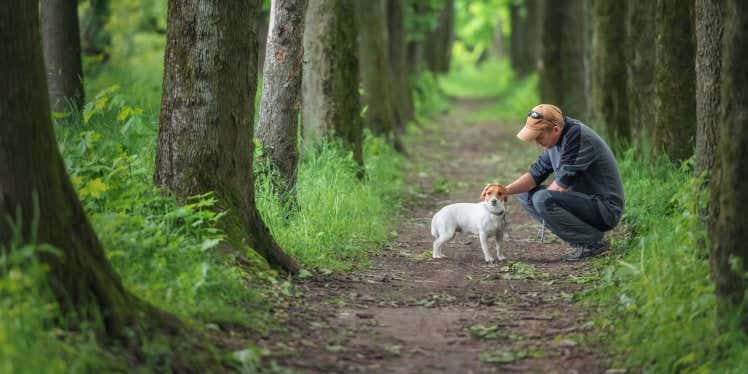 man-stroking-dog-in-park