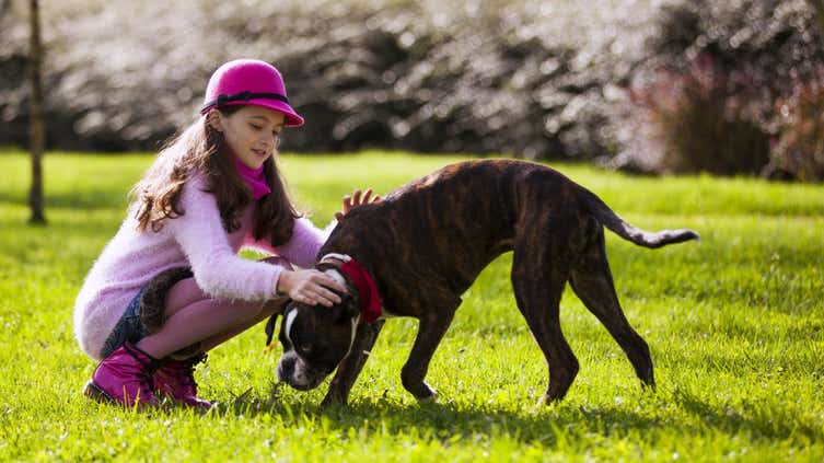 Can you get cover for your pet with existing conditions?