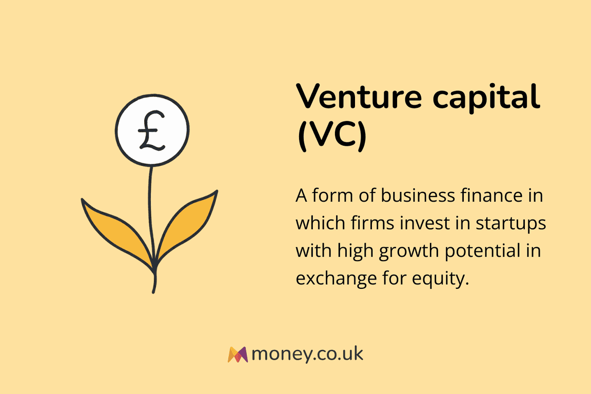 Infographic titled "Venture capital (VC)" with an illustration of a plant with a pound sign flower. Definition: "A form of business finance in which firms invest in startups with high growth potential in exchange for equity."