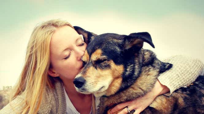 Can you get insurance for older pets?