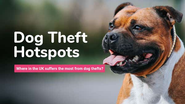 A picture of a dog with a title which reads: Dog Theft Hotspots. Which area in the UK suffers the most from dog thefts? 