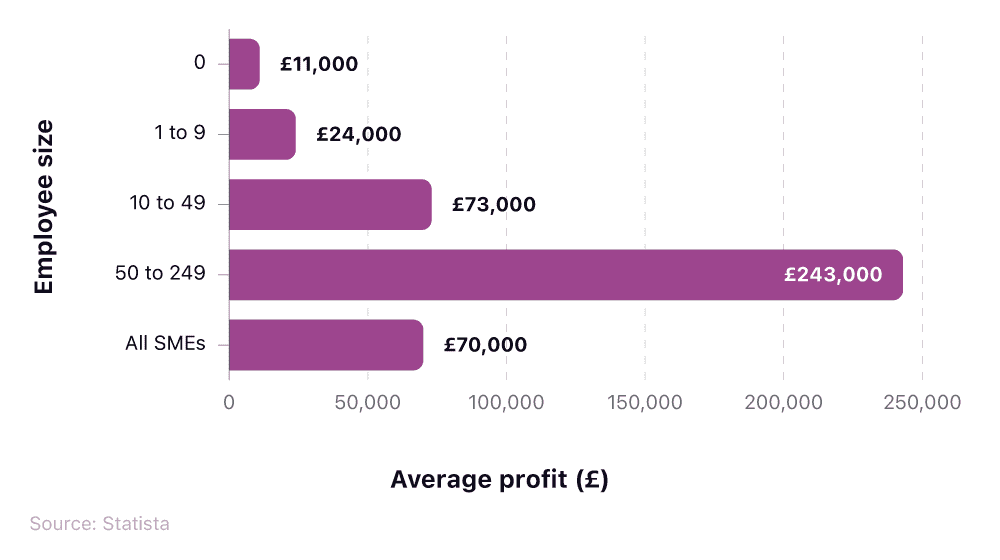 Median average profit for SMEs in the UK (2024)
