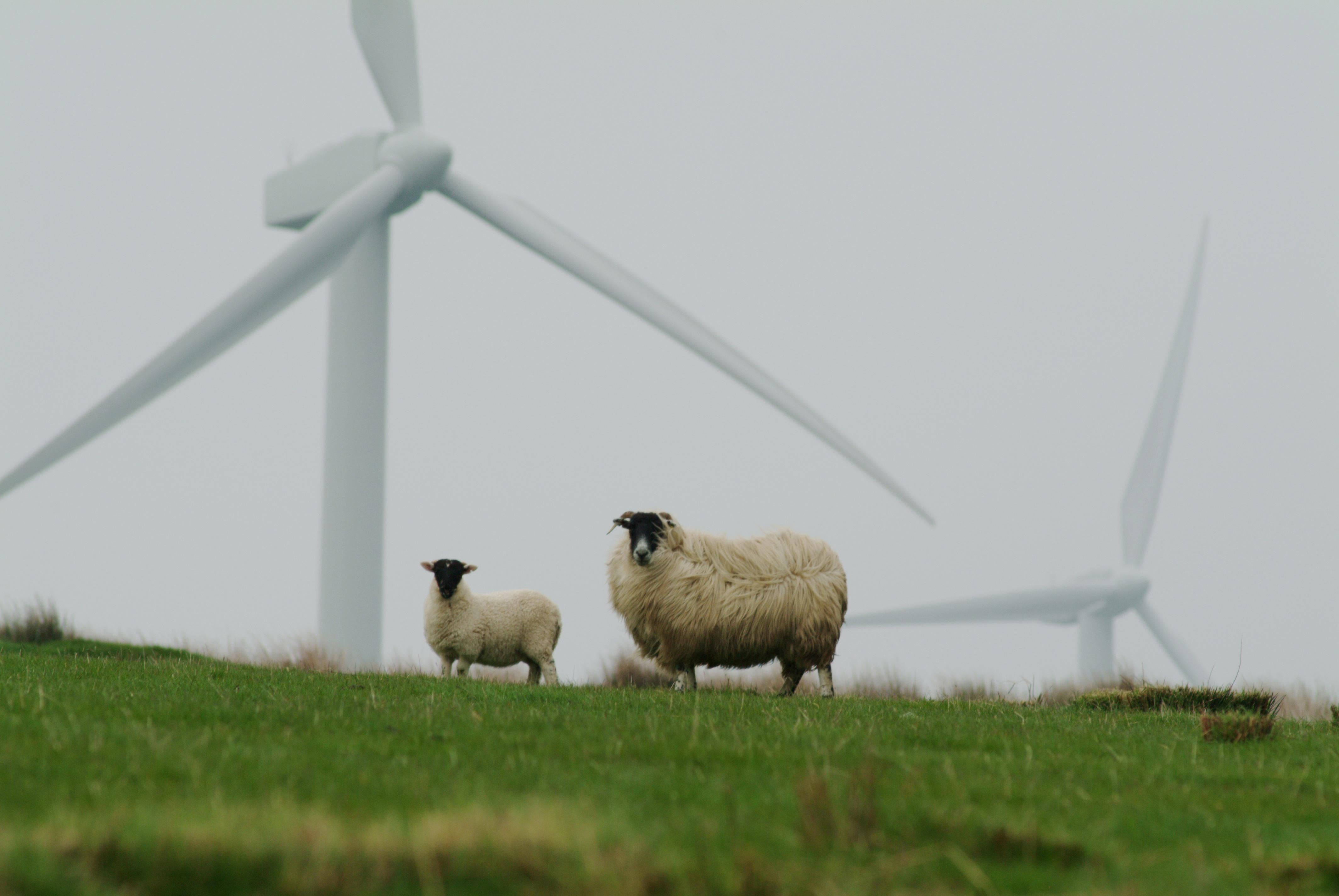 Research by Aldermore Bank shows UK SMEs are falling behind on net zero goals, with only 13% currently on track. But, while many see sustainability as a burden, the reality is that greener practices could deliver big cost savings and new business opportunities.