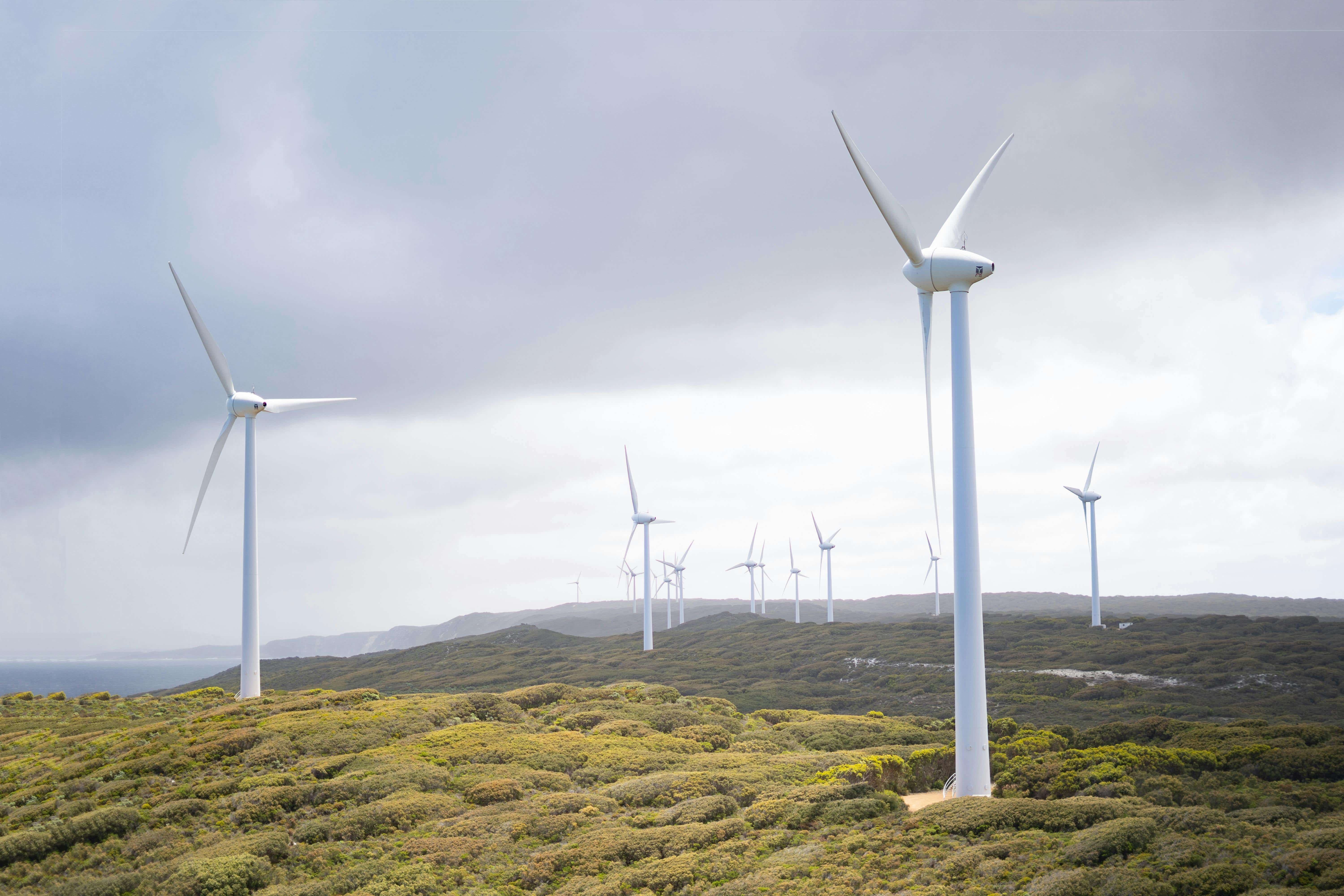 Wind farm on a moor