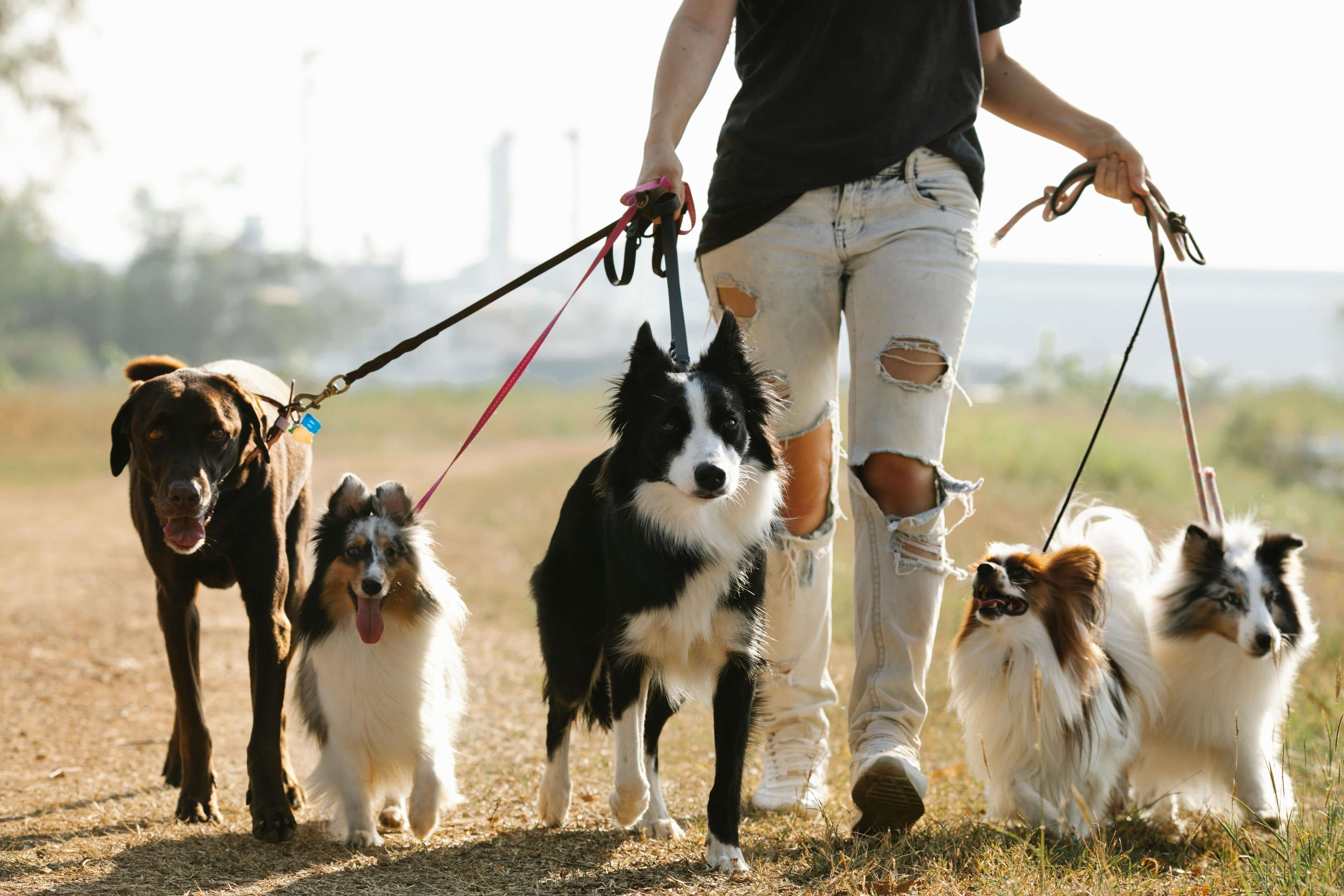 Over a third of UK businesses now start as side hustles, turning weekend hobbies into income-generating projects. But as these ventures grow from pocket money to more serious profits, some entrepreneurs may find themselves needing to report income sooner than they thought.