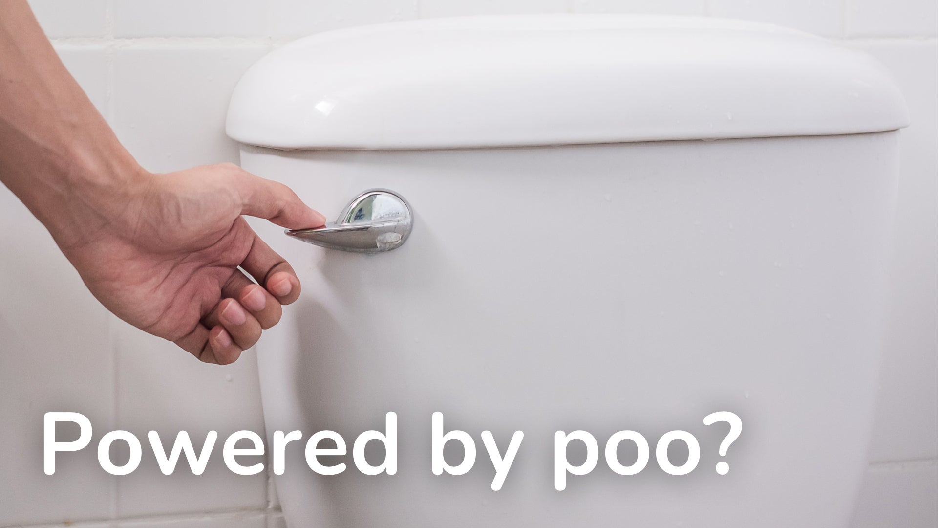 A picture of a toilet flush and text reading Powered by poo? 