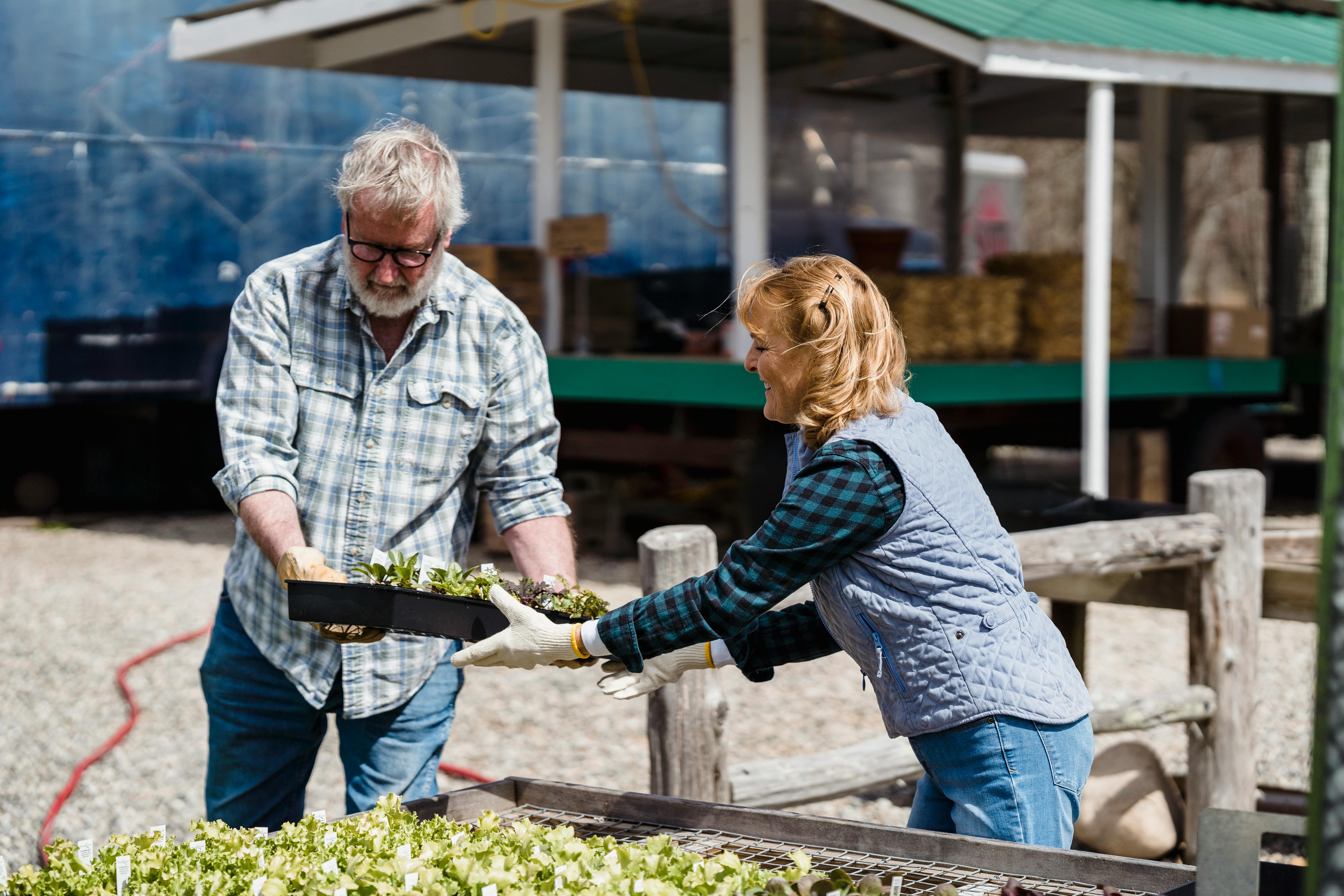 Two business owners taking care of their plants in nature