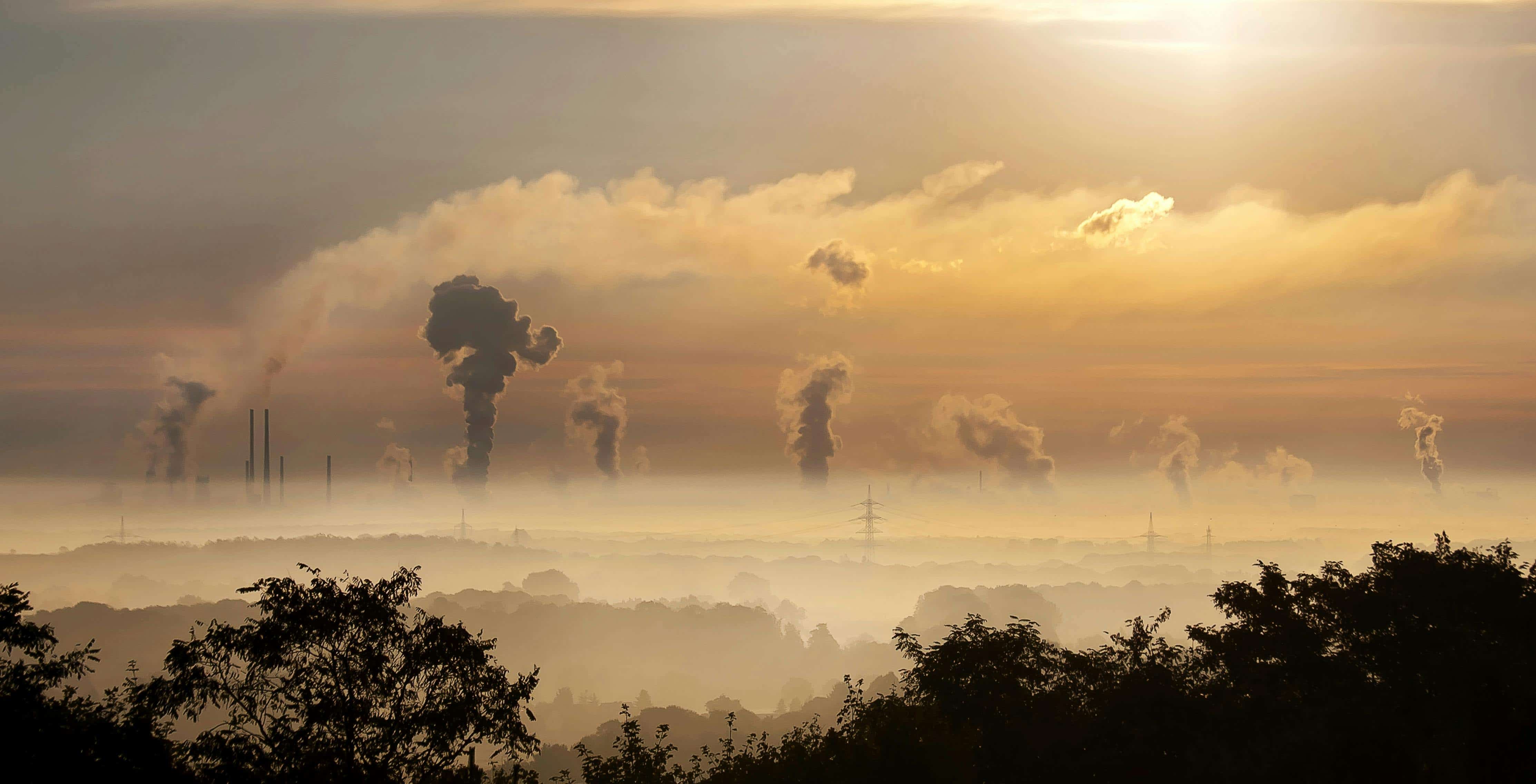 UK SMEs are making real headway on the road to decarbonisation, and are currently outpacing many of their European peers. But limited access to capital remains a major barrier for those looking to go further, faster.