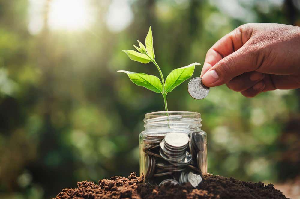 Jar of money with a leaf growing out of it