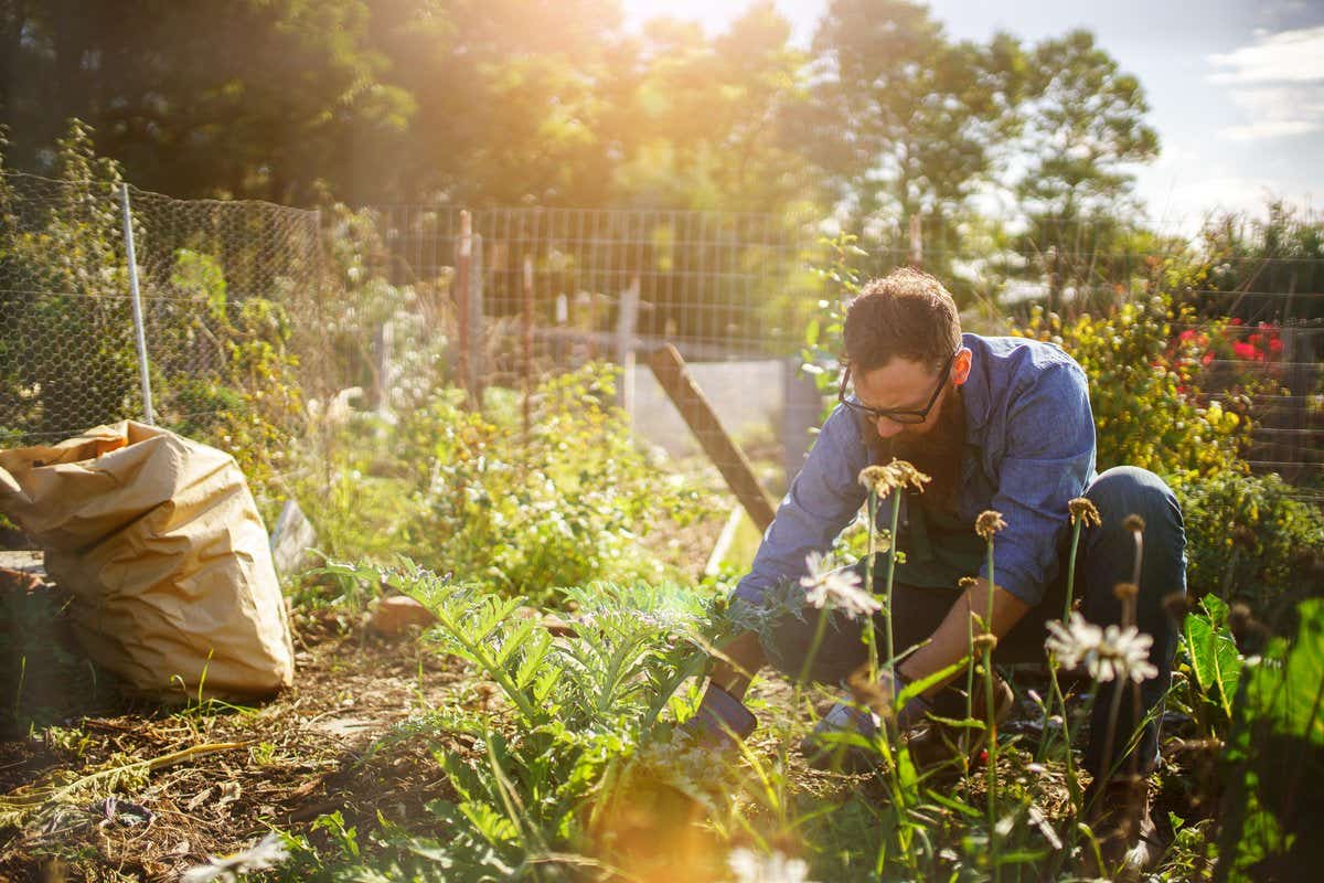 Gardening