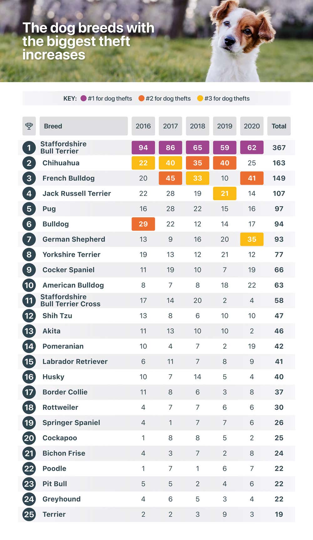 Table theft breed increases