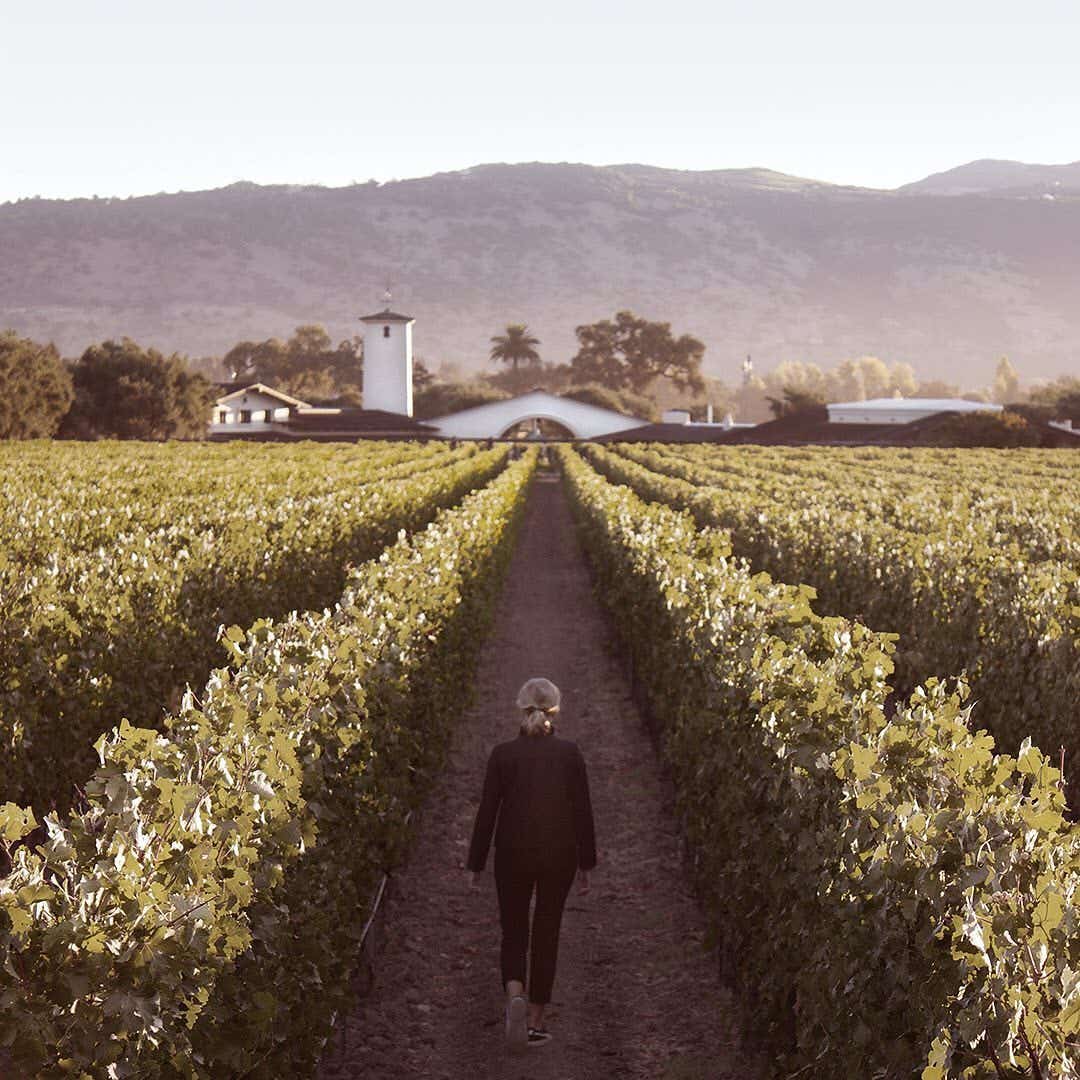 Robert Mondavi Winery